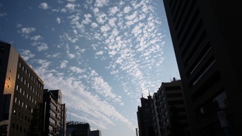 146. Tokyo sky1.JPG